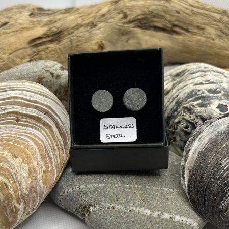 Stainless Steel Stone Earrings