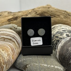 Stainless Steel Stone Earrings