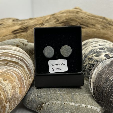 Stainless Steel Stone Earrings