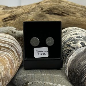 Stainless Steel Stone Earrings