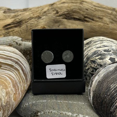 Stainless Steel Stone Earrings