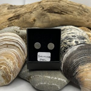 Stainless Steel Stone Earrings