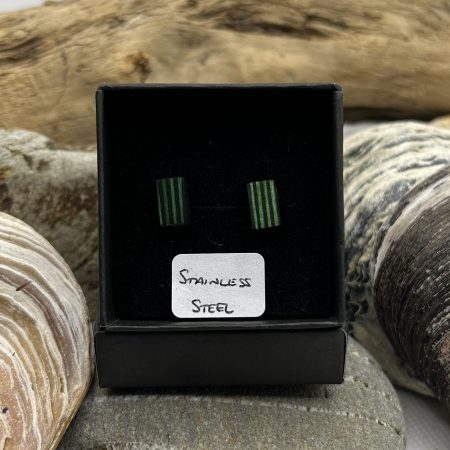 Black and Green Wooden Stainless Steel Earrings