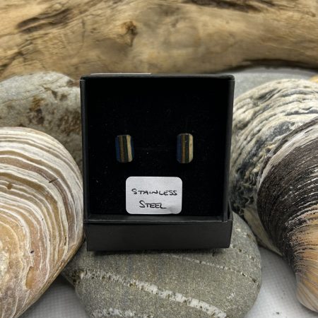 Blue, Green and Browns Stainless Steel Earrings