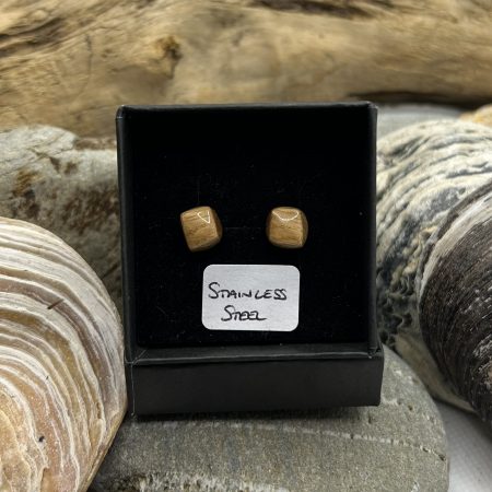 Oak Wood Stainless Steel Earrings