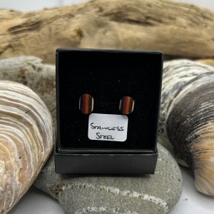 Multi Stripe Wooden Stainless Steel Earrings