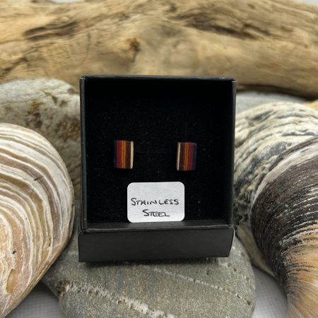 Multi Stripe Wooden Stainless Steel Earrings